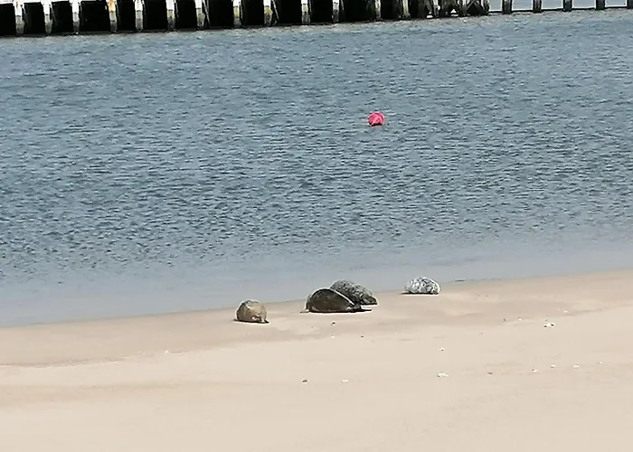 Weloveoostende: Renovated Beachside